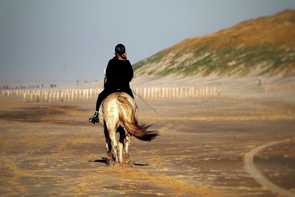 Le casque d'équitation